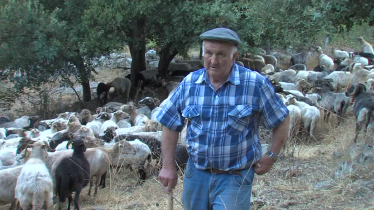 Les bergers de Méditerranée en Sardaigne - Tempi Fà Tempi d'Oghje