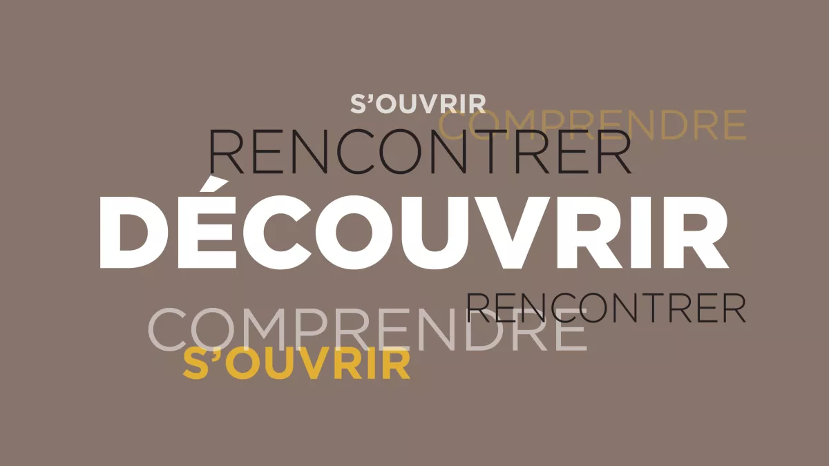 © Créa Maëva Da Silva / FTV Décvouvrir