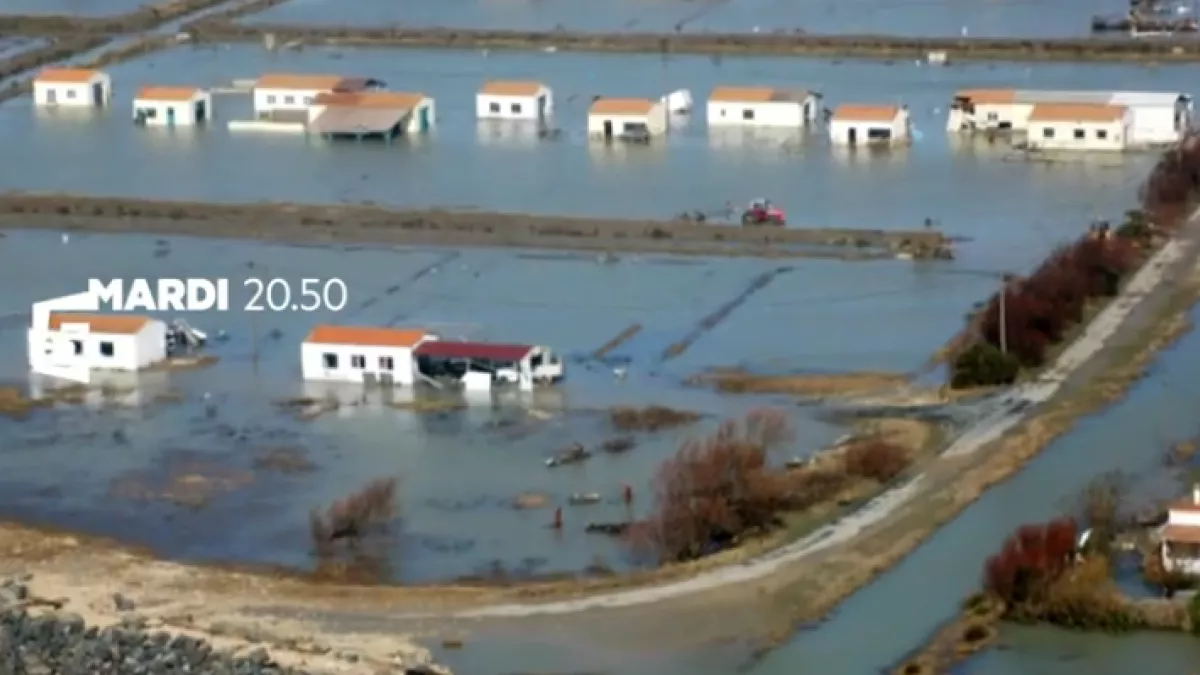 Sale temps pour la planète - Ile de Ré, Noirmoutier protégées à tout prix