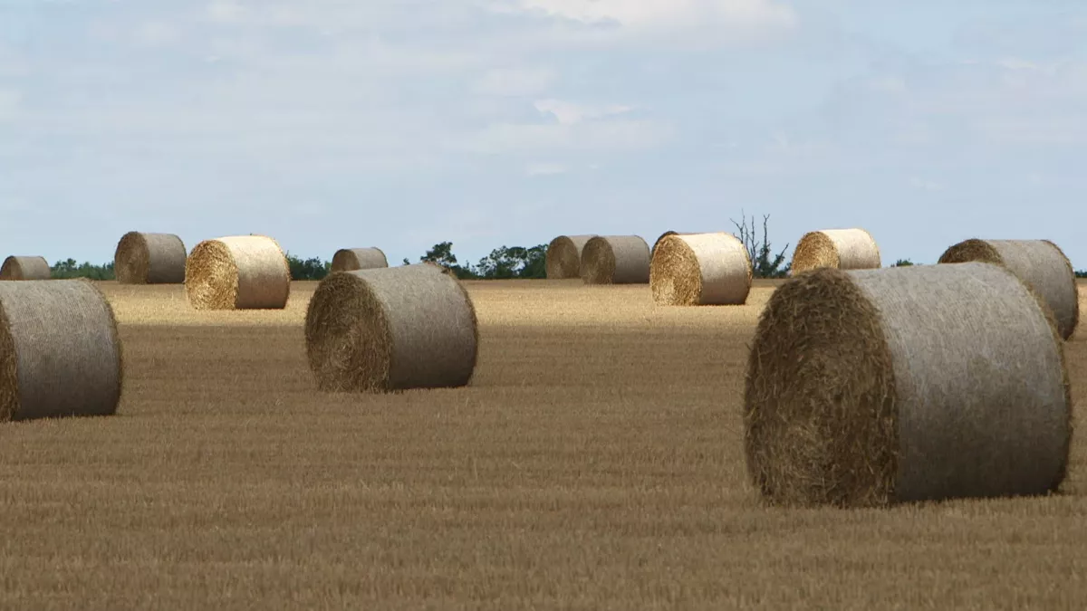 DISPARITION DES TERRES AGRICOLES : ENQUÊTE SUR UN BUSINESS QUI RAPPORTE » Pièces à conviction
