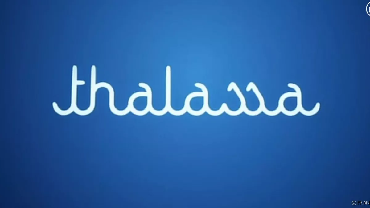 logo émission thalassa émission thalassa