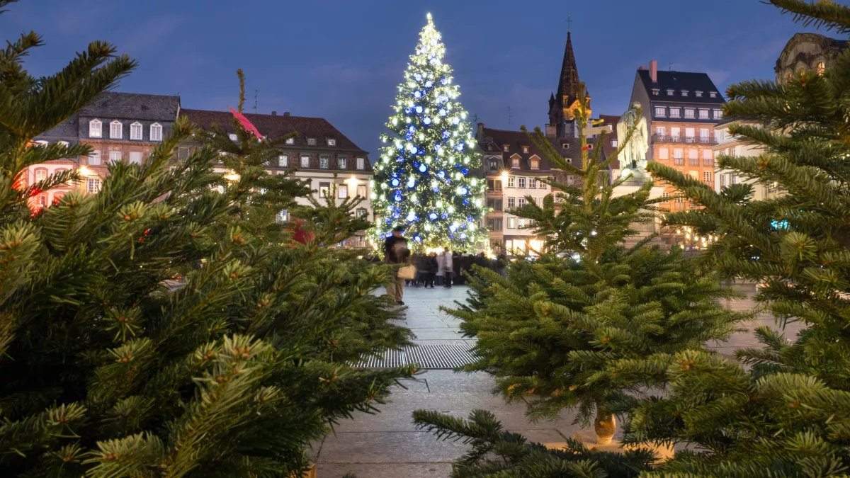 Strasbourg Strasbourg