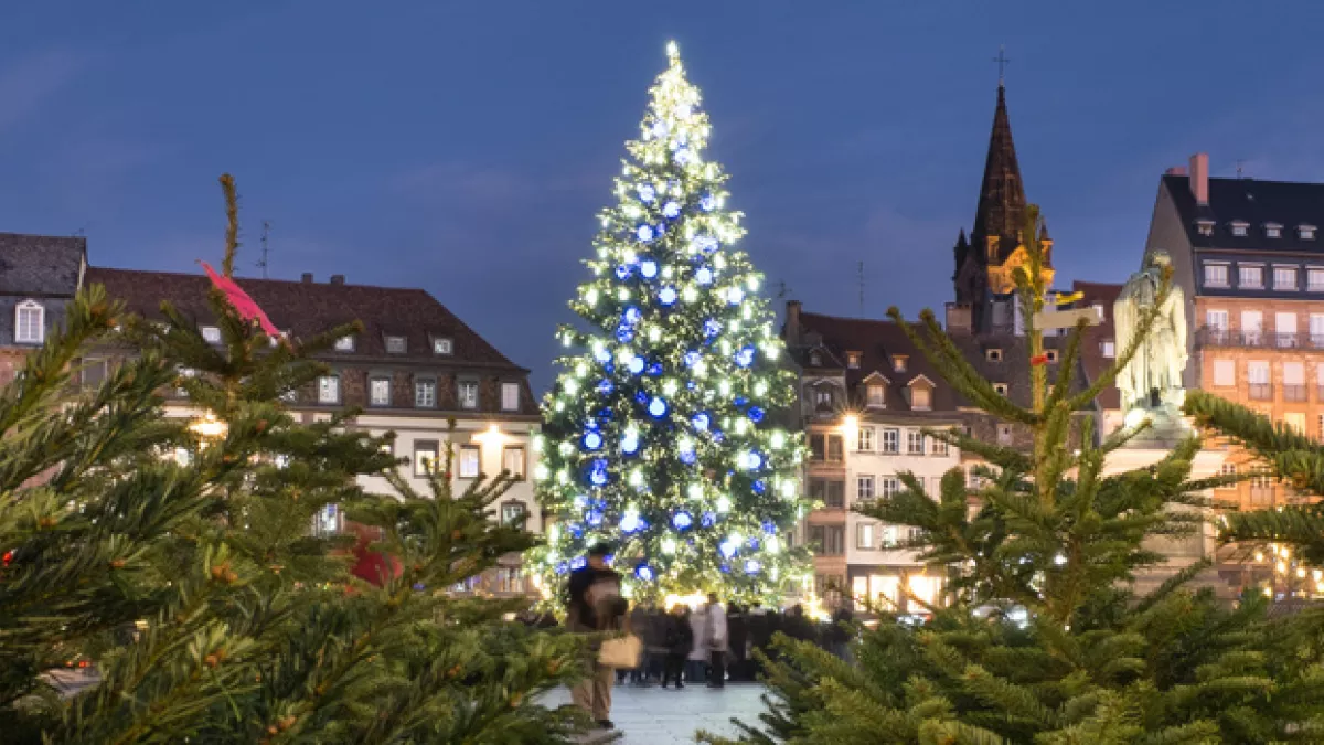 Lumières de Noël Lumières de Noël
