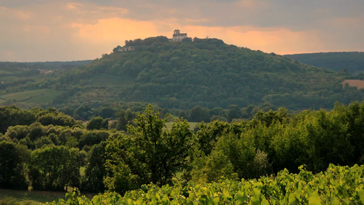 Colline de Vézelay Colline de Vézelay
