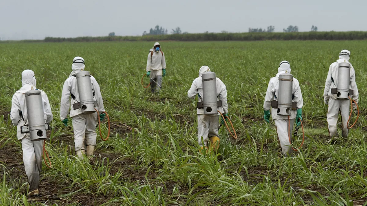 Glyphosate Glyphosate
