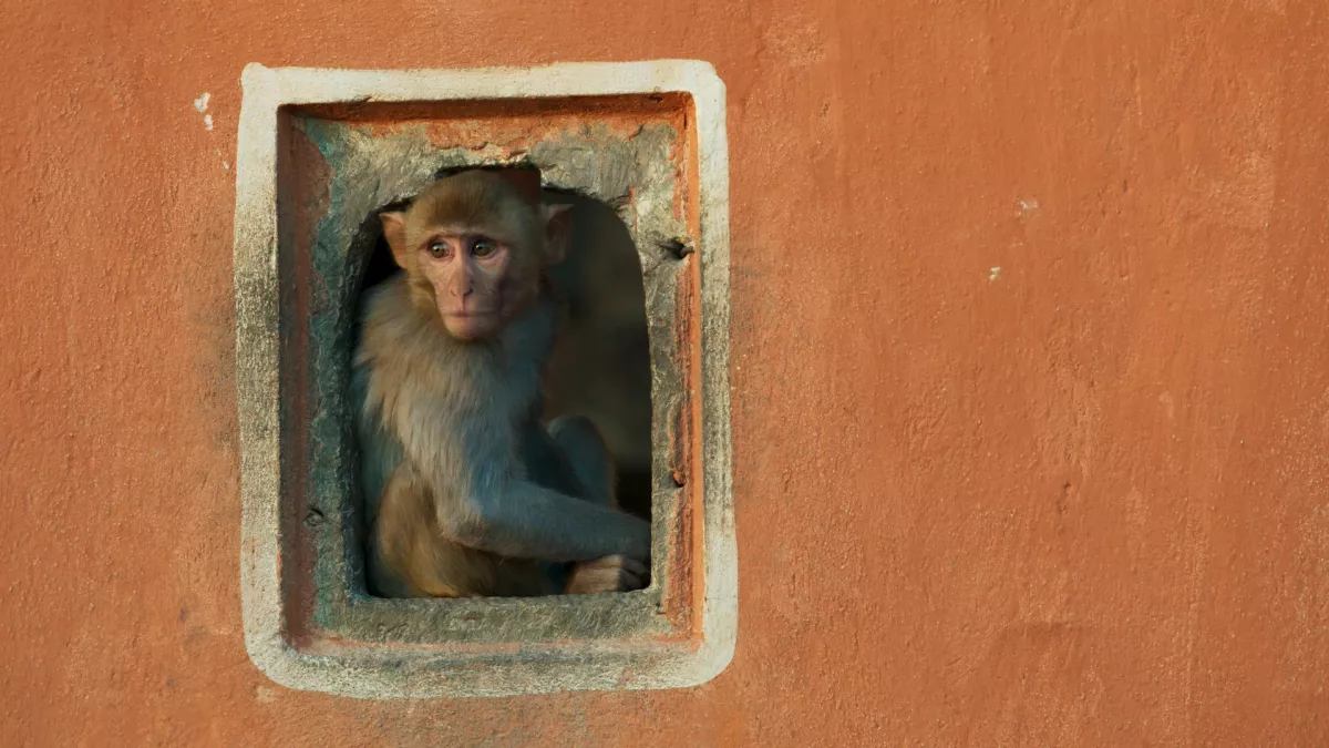 © BBC Worldwide limited PLANETE TERRE