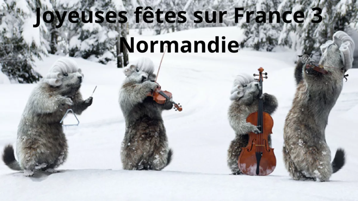 Joyeuses fêtes sur France 3 Nouvelle-Aquitaine Joyeuses fêtes sur France 3 Nouvelle-Aquitaine