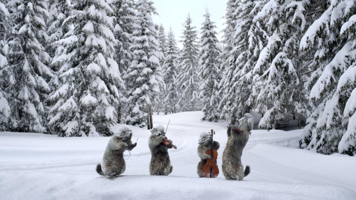 Les marmottes sous la neige ©france3