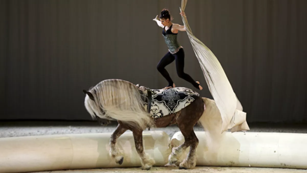 cheval passion Cheval passion