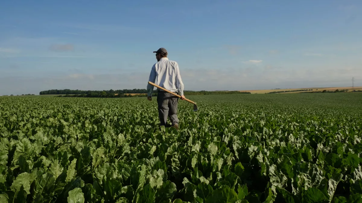 Tous pour un, dans le secret des coopératives agricoles - © Callysta Productions Un agriculteur dans un champ