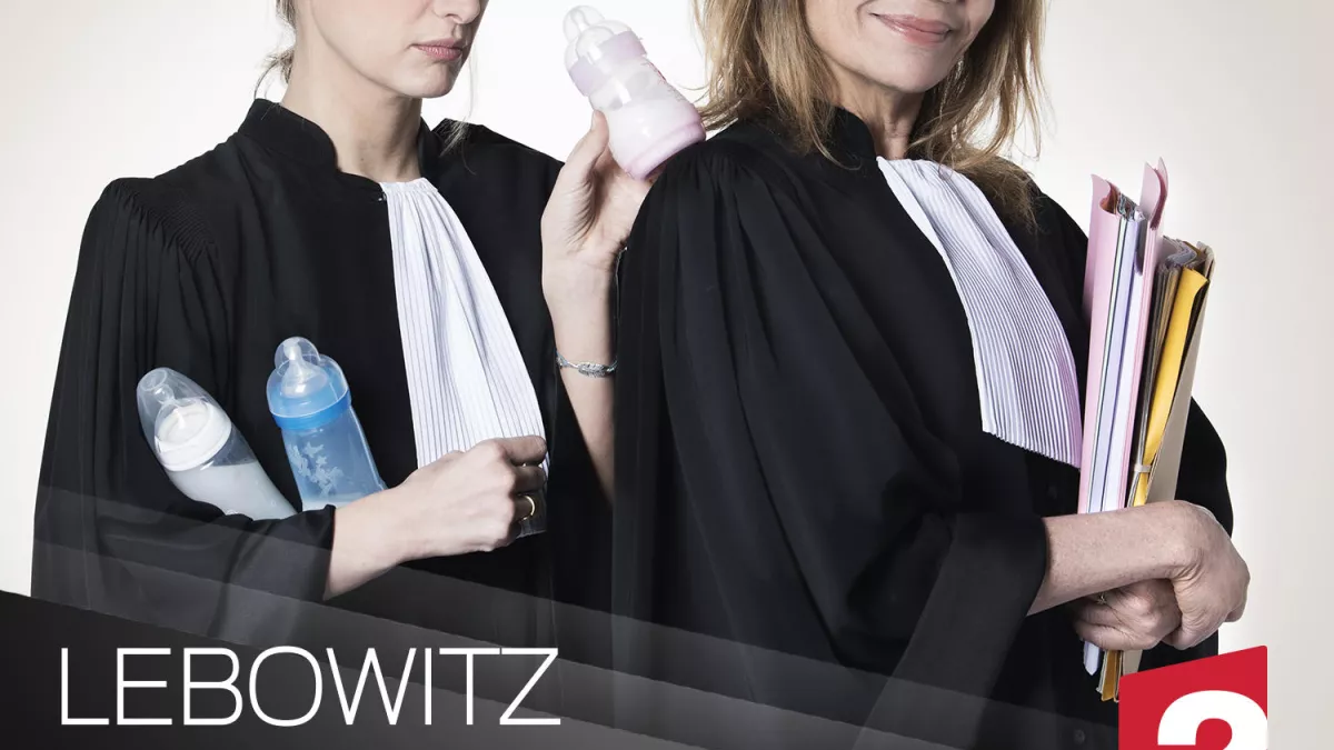 Christophe Lartige LEBOWITZ CONTRE LEBOWITZ