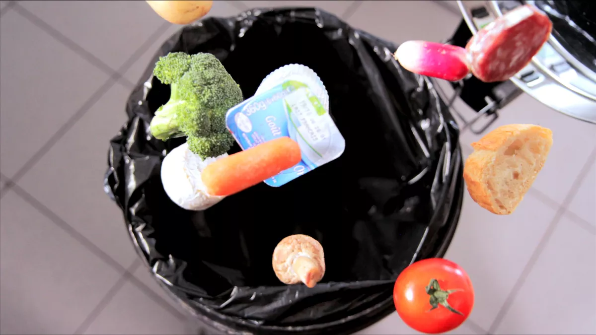 ALIMENTS ALIMENTS