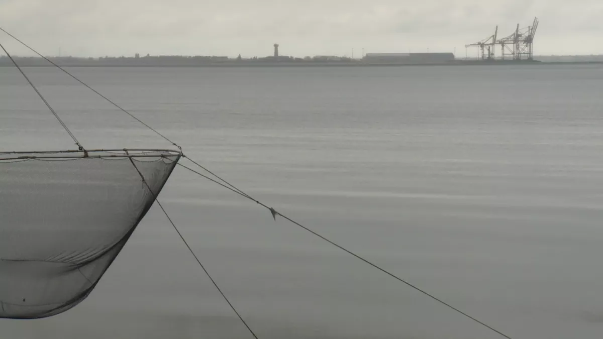 L'estuaire l'estuaire