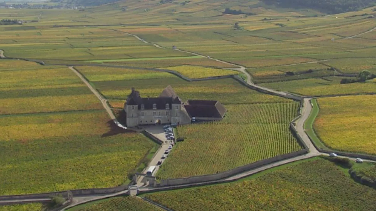 Clos Vougeot Clos Vougeot