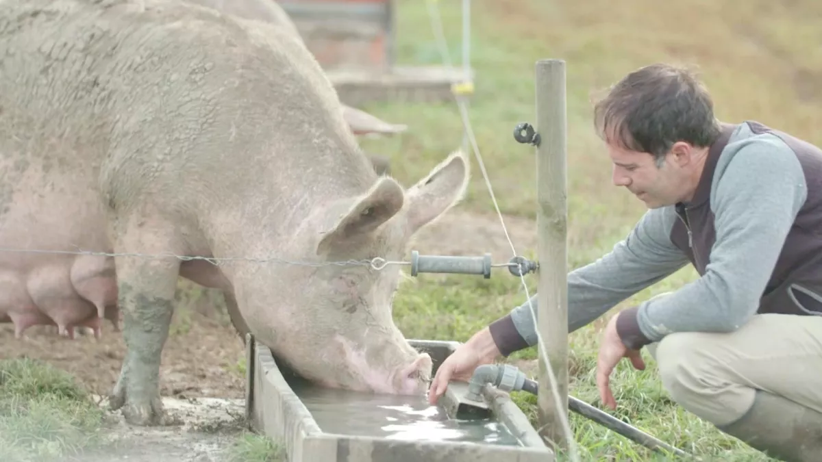 © Premières Lignes FAUT-IL ARRÊTER DE MANGER LES ANIMAUX ?
