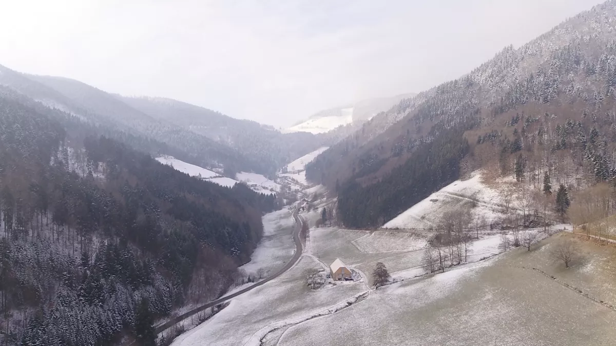 Pourquoi chercher plus loin - Sainte Marie aux Mines, une mine de trésors