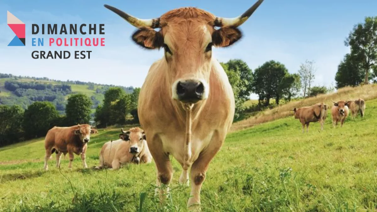 Dimanche en politique Grand Est au salon de l'agriculture Dimanche en politique Grand Est au salon de l'agriculture
