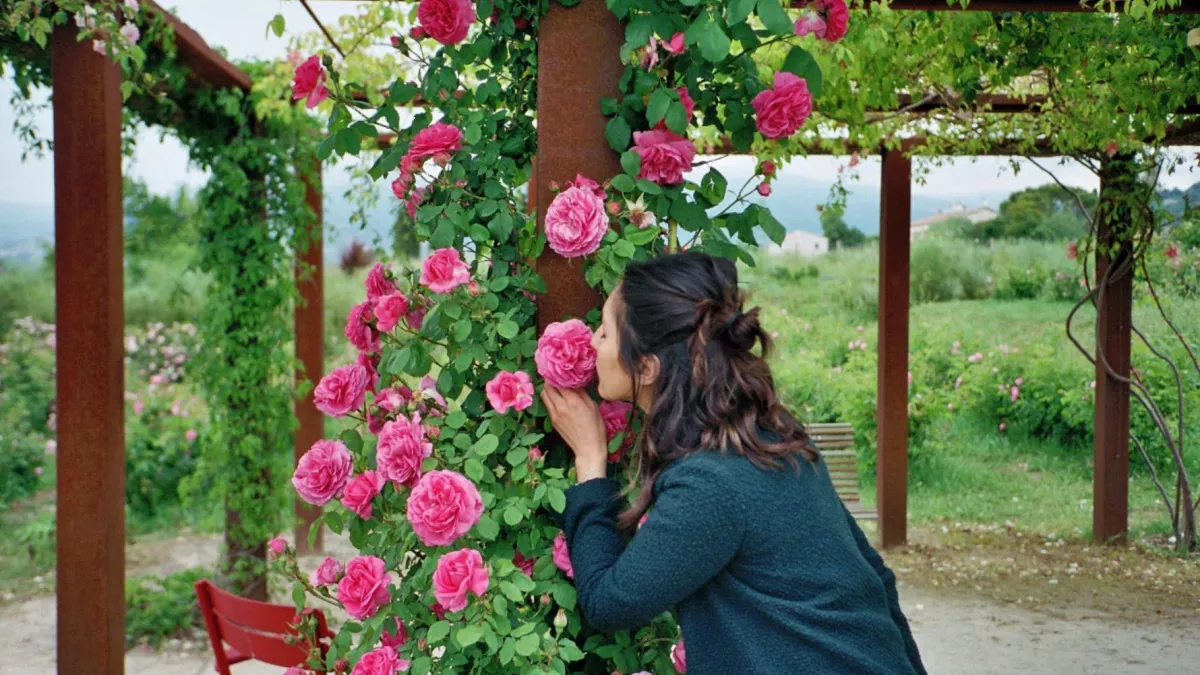 Ladybirds Films L'IMPORTANT C'EST LA ROSE