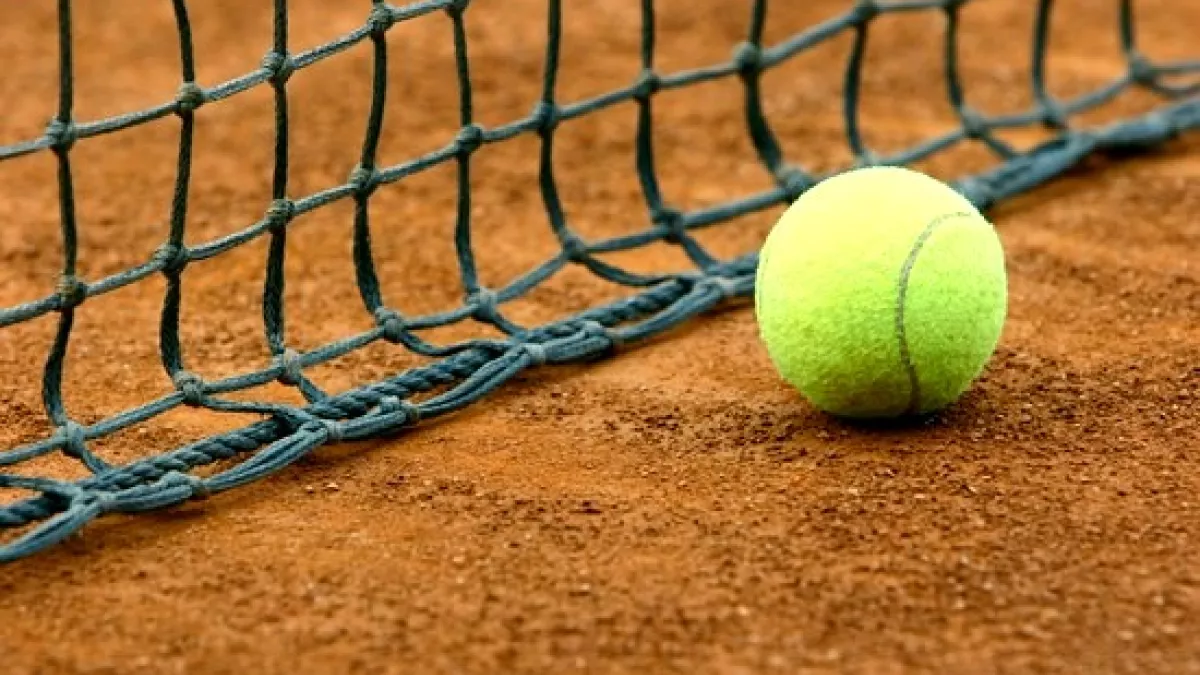 tennis tennis