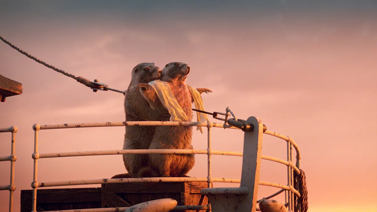 les marmottes les marmottes