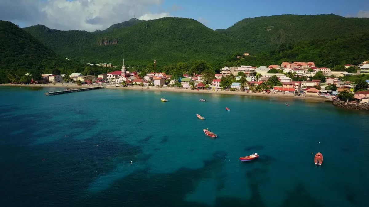 ©Les films en vrac ALLEZ SAVOIR, EN MARTINIQUE LES TORTUES SE CACHENT POUR GRANDIR