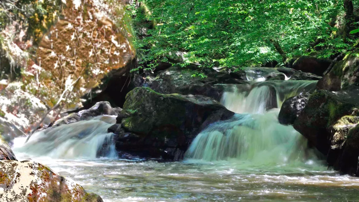 CSO Parc naturel régional Périgord Limousin