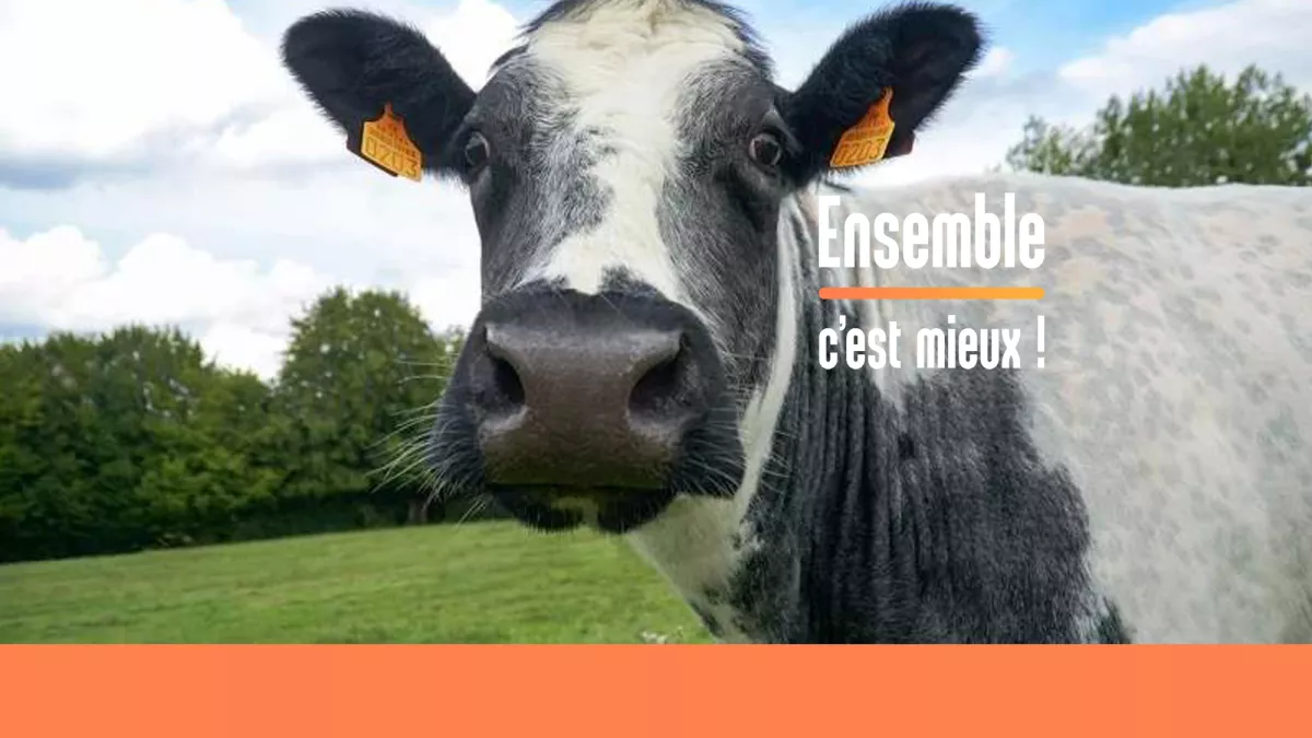 Ensemble C’est Mieux au Salon International de l'Agriculture à Paris 2019 Ensemble C’est Mieux au Salon International de l'Agriculture à Paris 2019