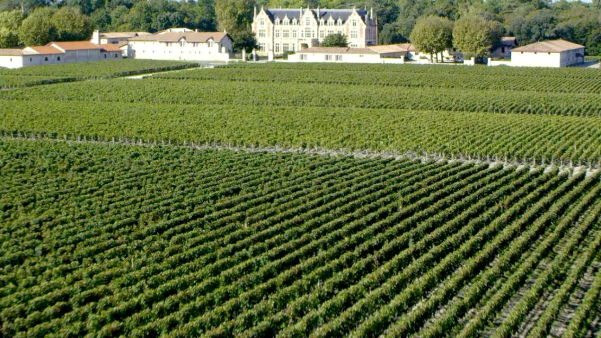 vignoble bordelais vignoble bordelais