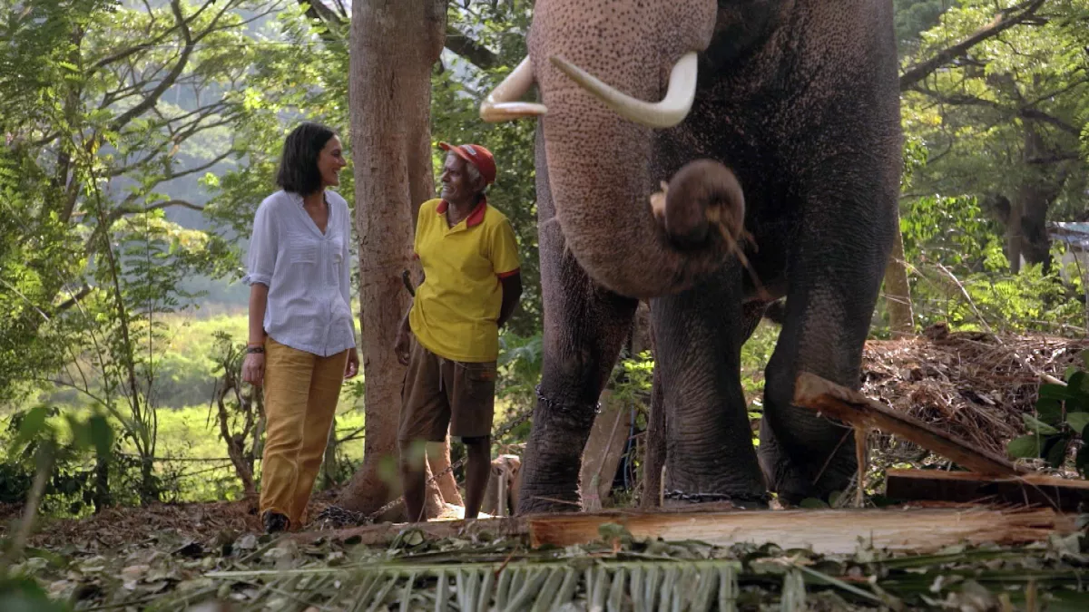 FAUT PAS RÊVER AU SRI LANKA ET EN SICILE FAUT PAS RÊVER AU SRI LANKA ET EN SICILE