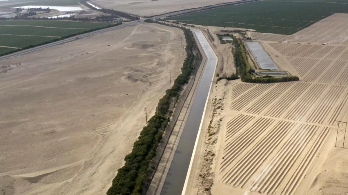 © LABEL NEWS L'ASPERGE, L'OR BLANC DU PRINTEMPS
