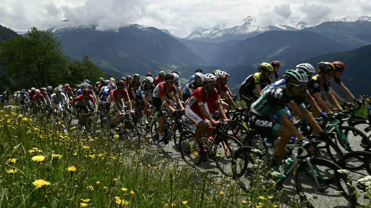 Critérium 2019 Critérium 2019