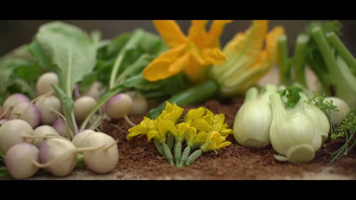 mini legumes mini legumes