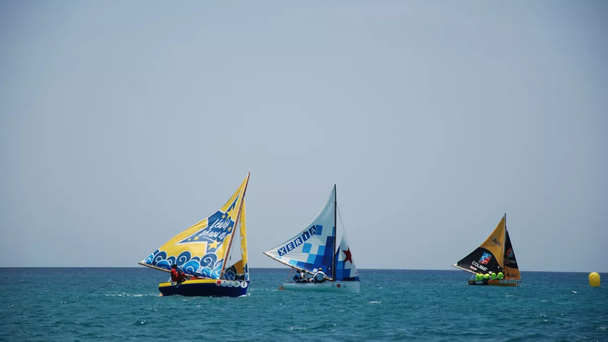 Traditour 2019 visuel