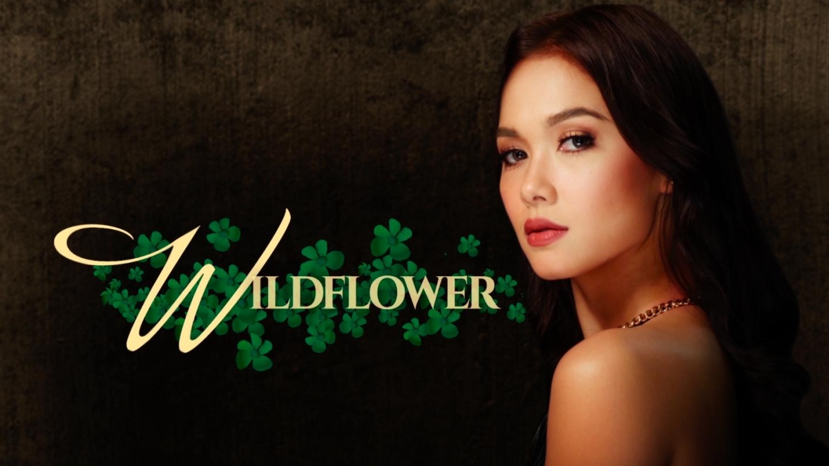 Wildflower FranceTvPro.fr
