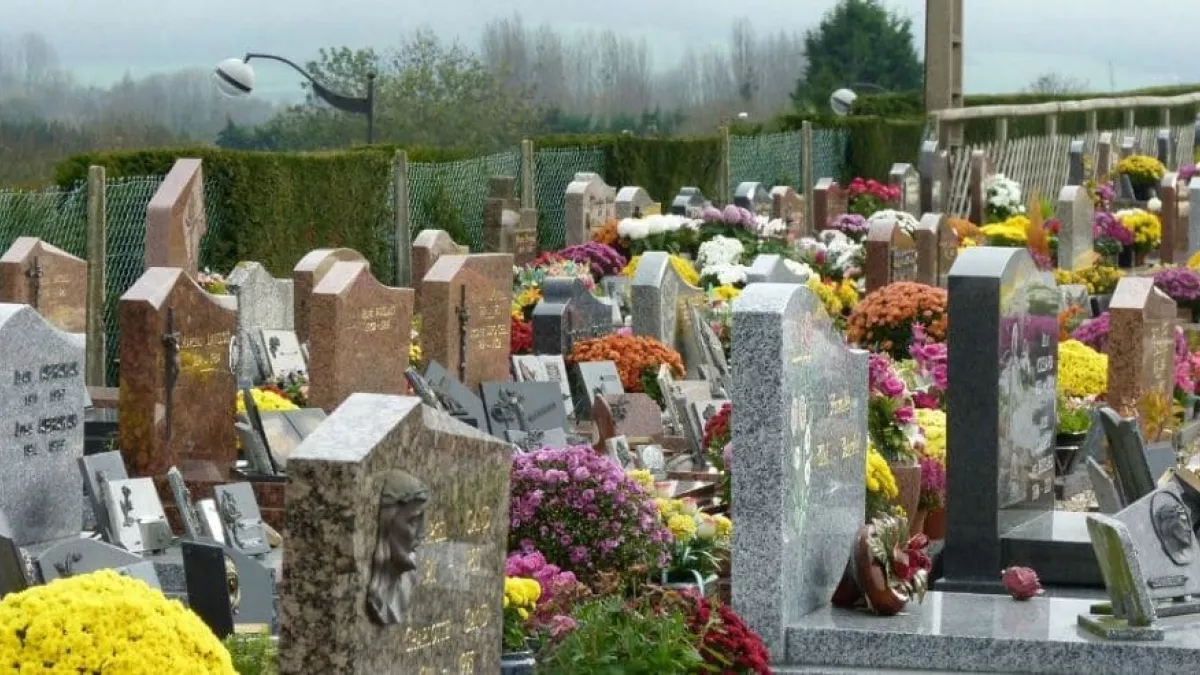 Cimetiere Cimetiere