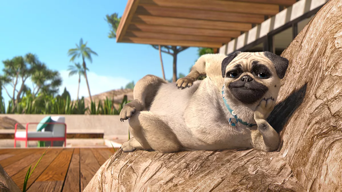 Mike, une vie de chien Mike, une vie de chien