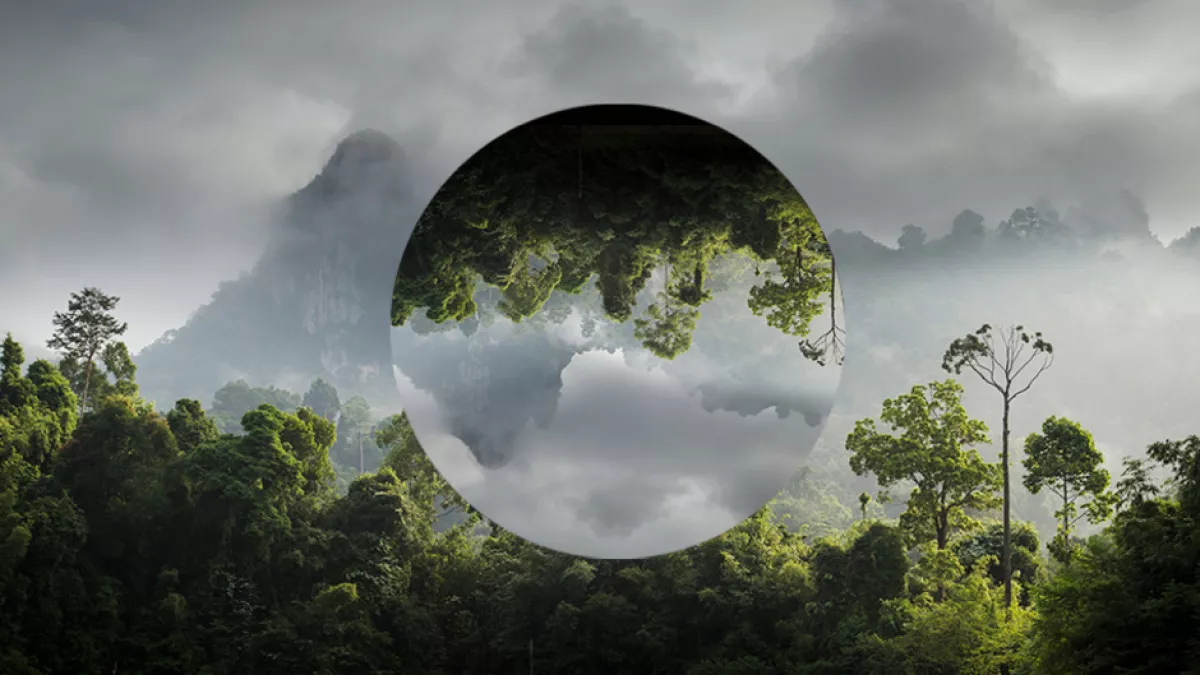FTV s'engage pour l'environnement © DR Environnement