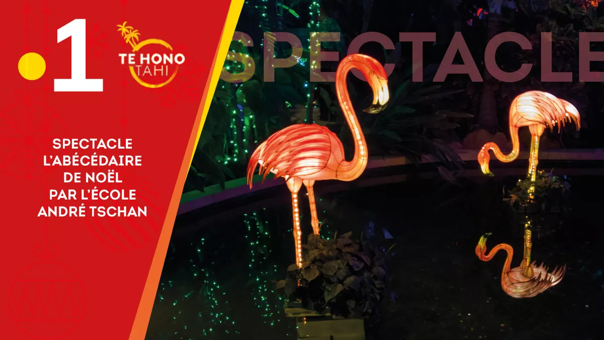 Spectacle de Noël 2019 Spectacle de Noël 2019