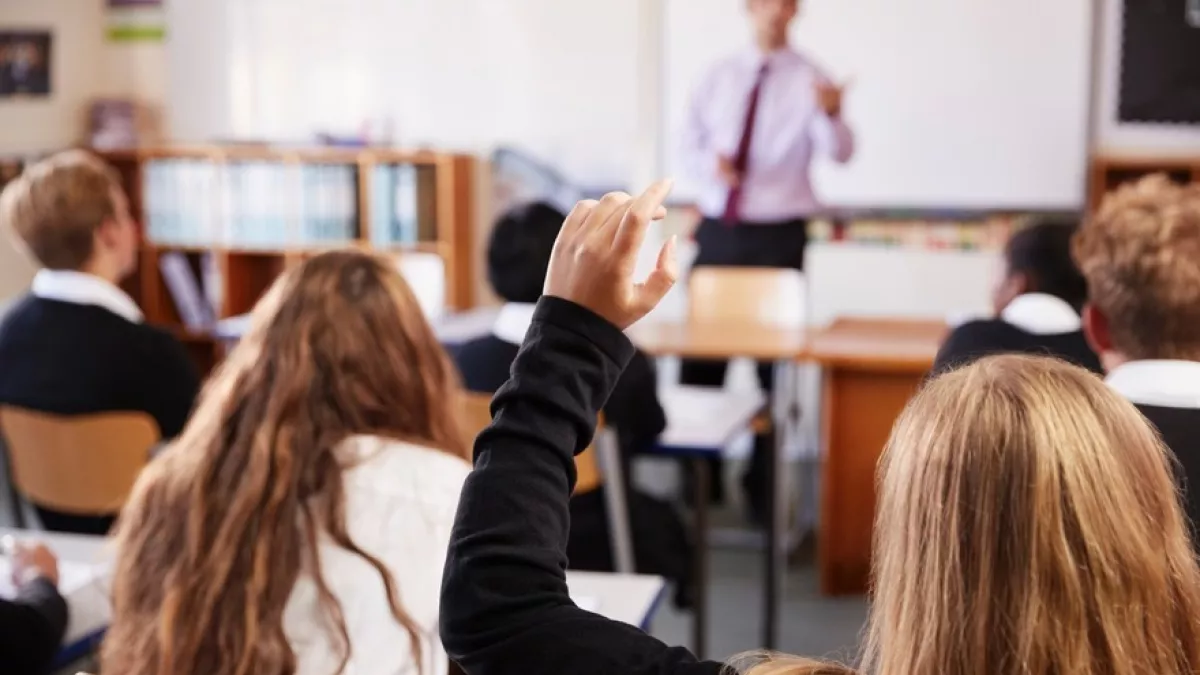 Enseignants Enseignants