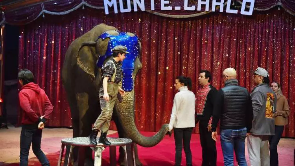 43EME FESTIVAL DU CIRQUE DE MONTE CARLO 43EME FESTIVAL DU CIRQUE DE MONTE CARLO