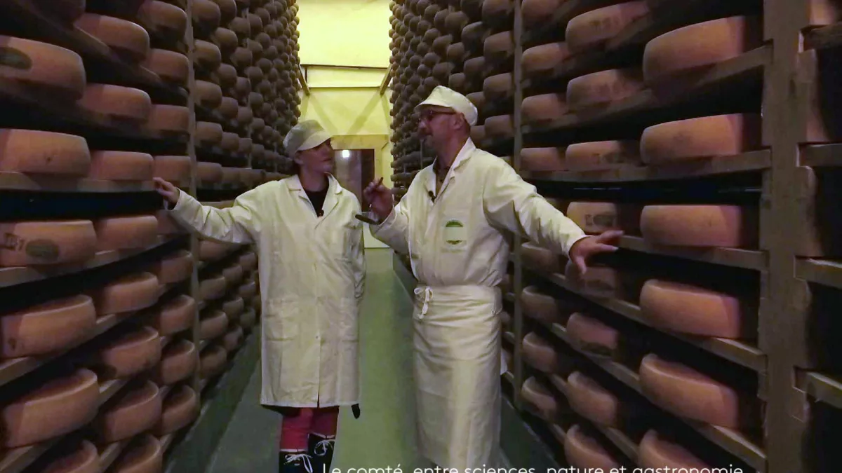 Le comté©hanami Le comté