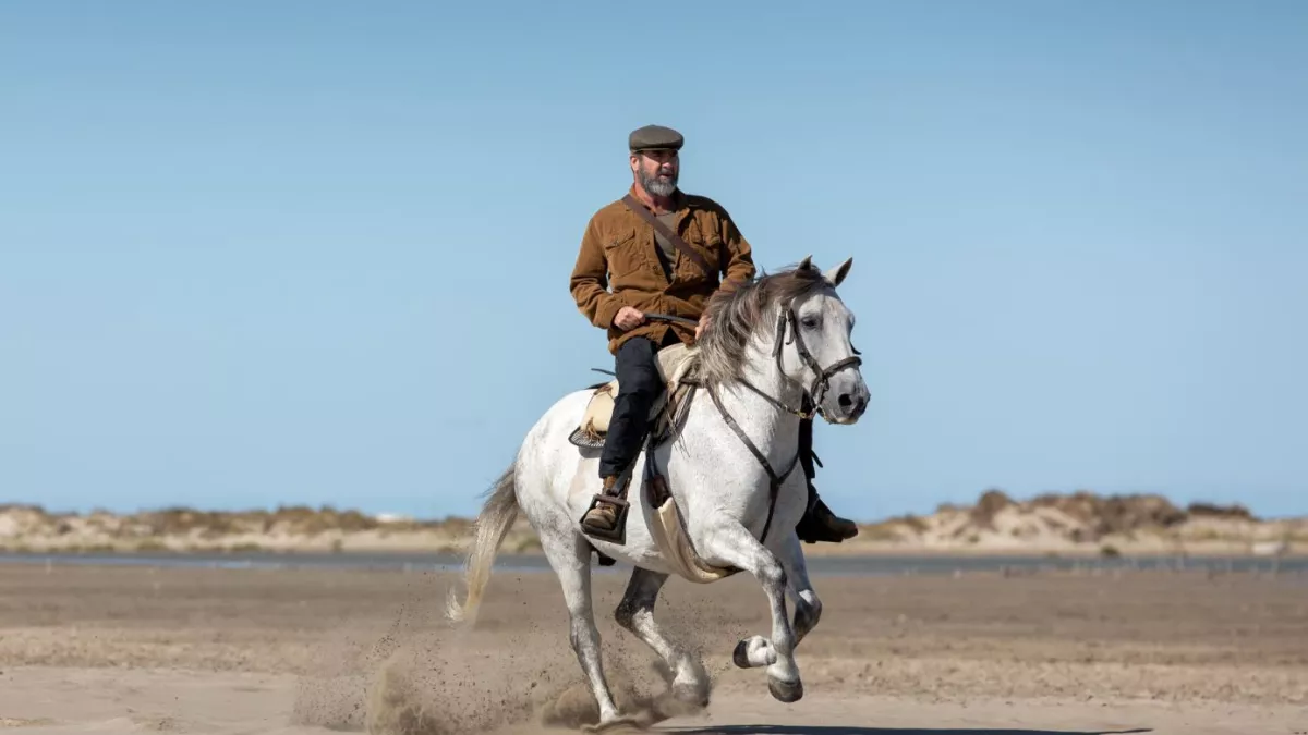 cantona cantona