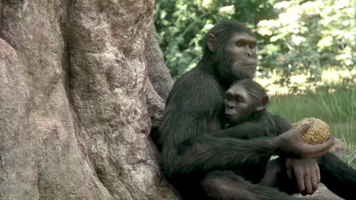 NOS ANCÊTRES LES HOMINIDÉS