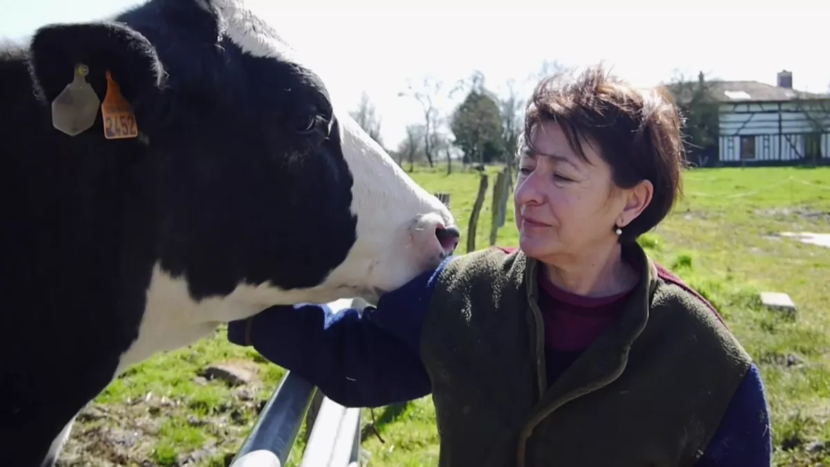 Les vaches n'auront plus de nom CREDIT Douk douk productions