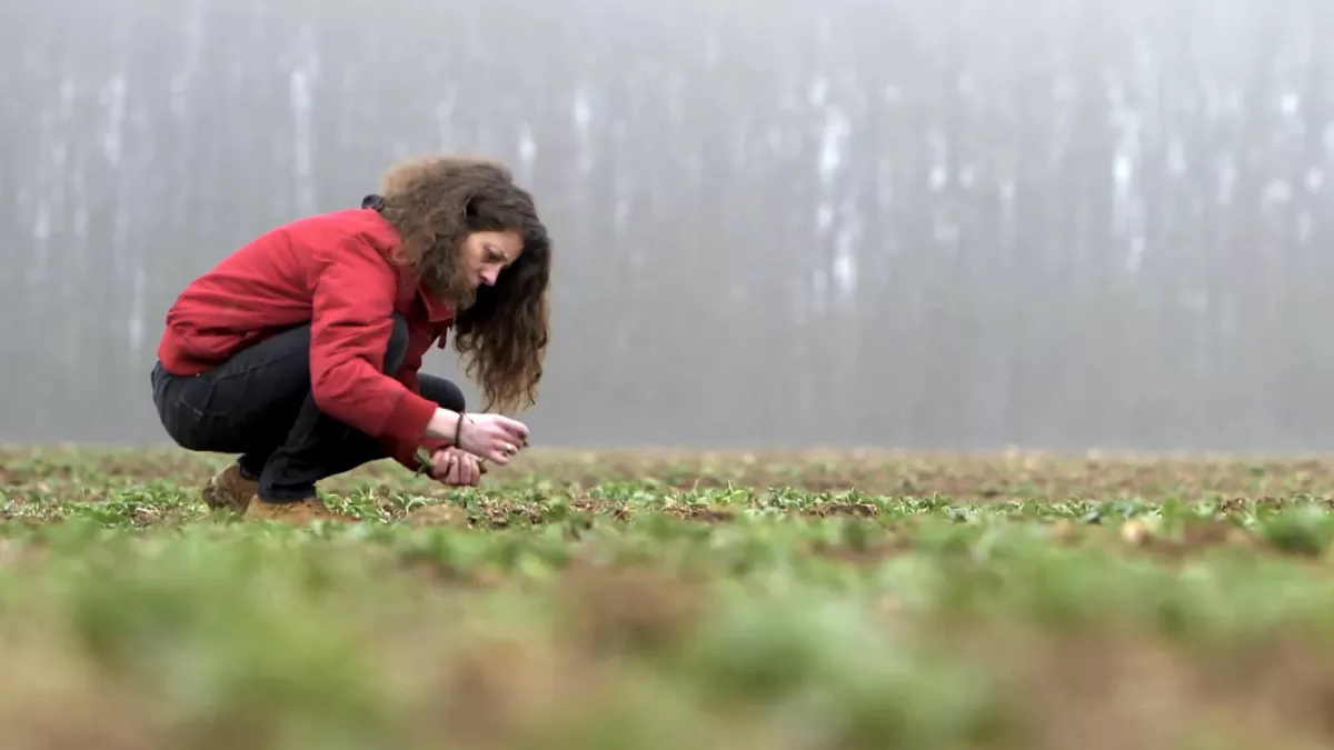 © Odyssee Films RETOUR A LA TERRE