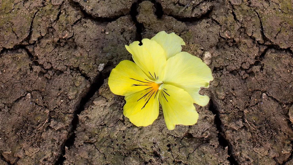 Getty Images/iStockphoto LES CHEMINS DE LA FOI