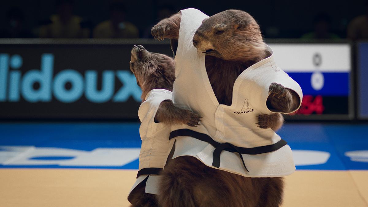 Marmottes judo