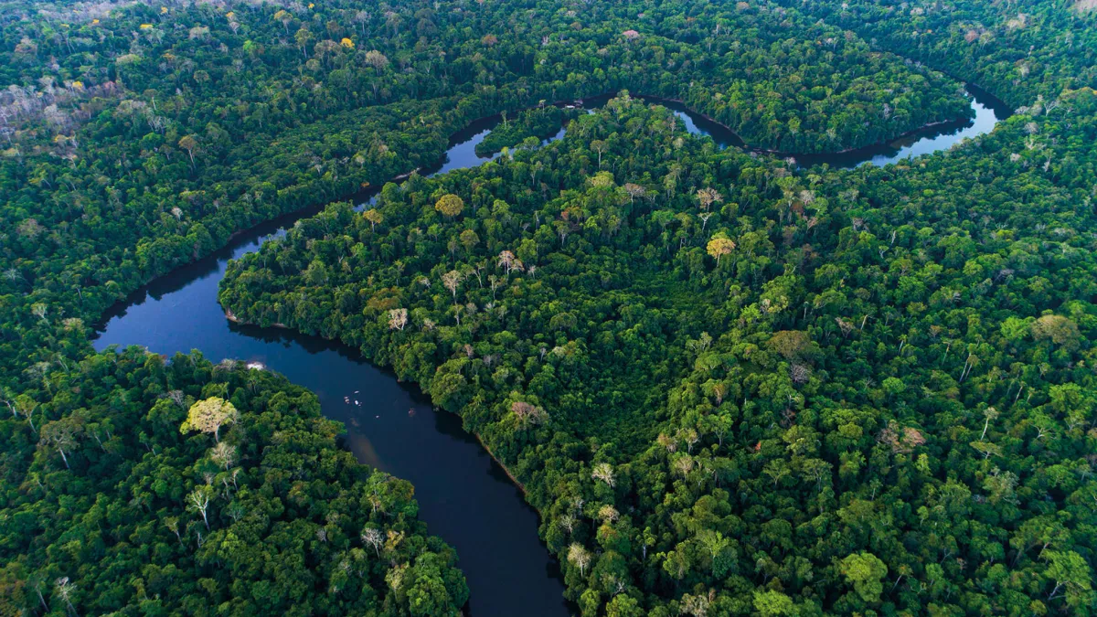 © BBC L'AMAZONE, FLEUVE-OCEAN
