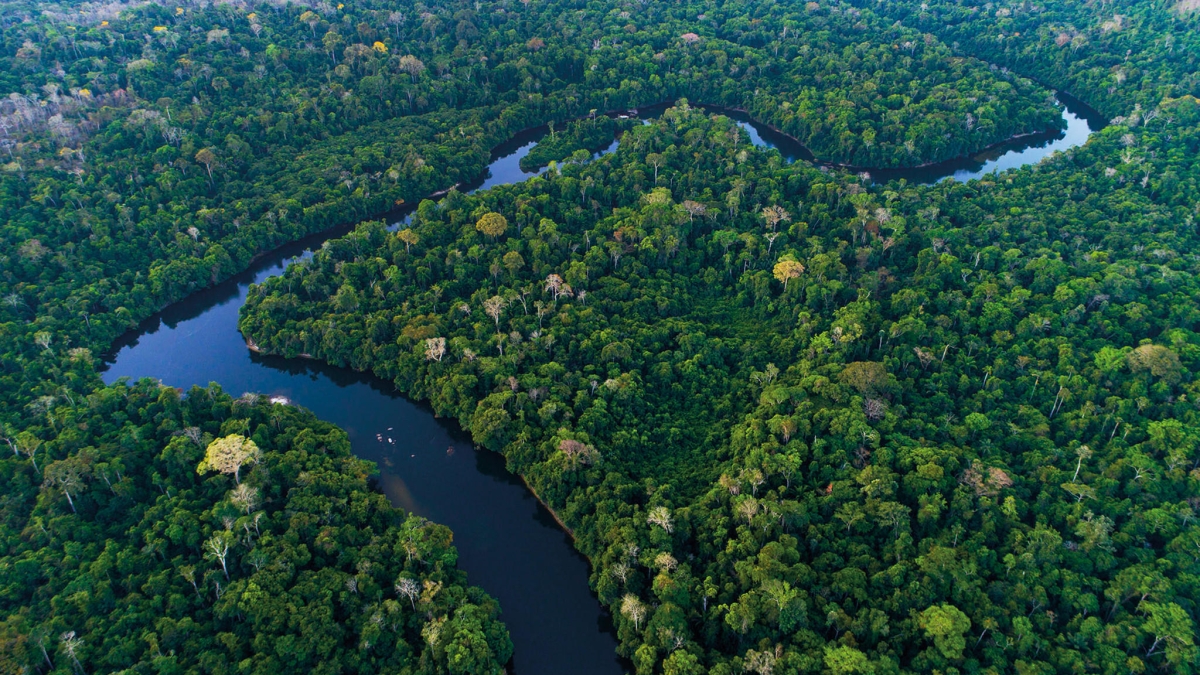 L'AMAZONE, FLEUVE-OCEAN