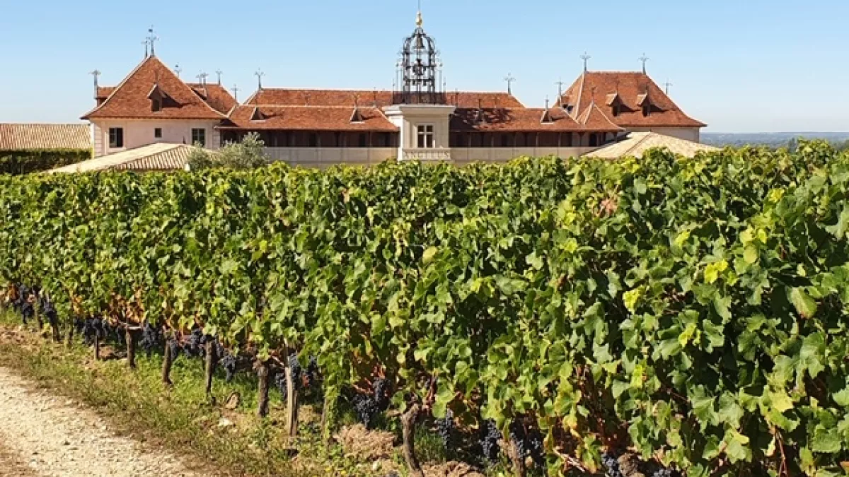 Bis à Saint-Emilion - Château Angélus 